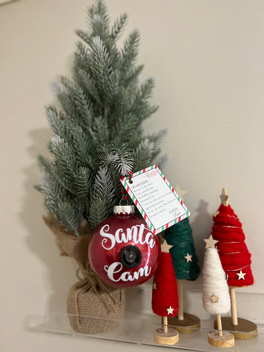 Santa Cam Ornament